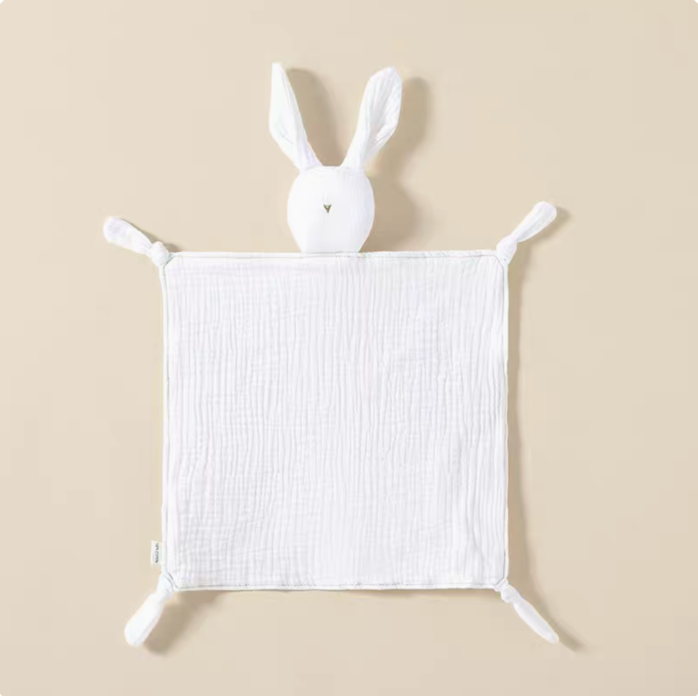 Bunny Lovey Teething Toy