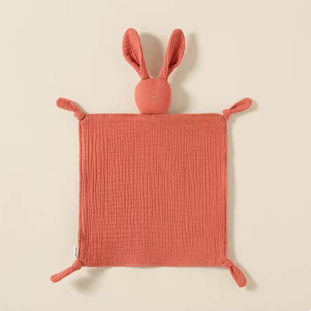 Bunny Lovey Teething Toy