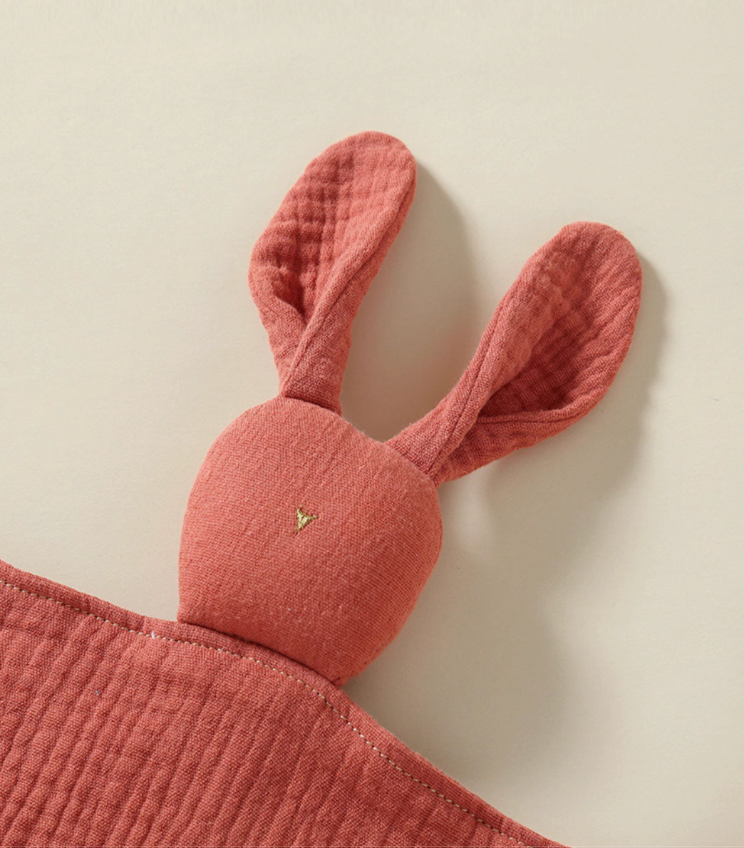 Bunny Lovey Teething Toy